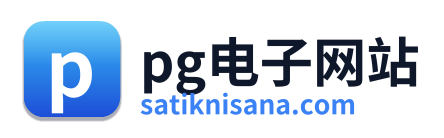 pg电子网站